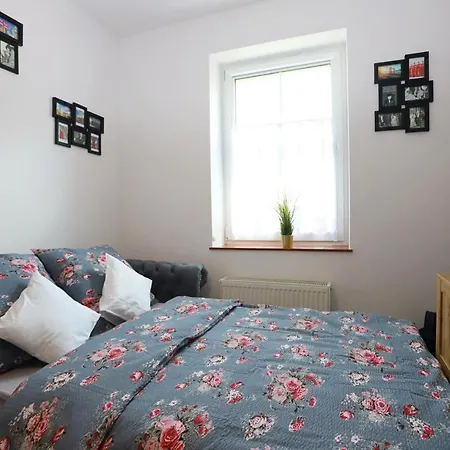 Winston Apartment Bad Salzbrunn